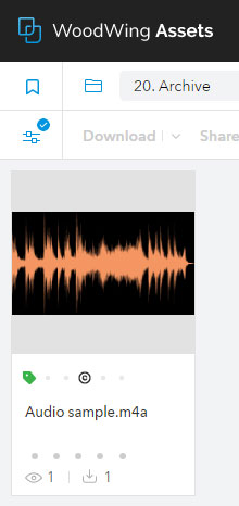The thumbnail of an audio file