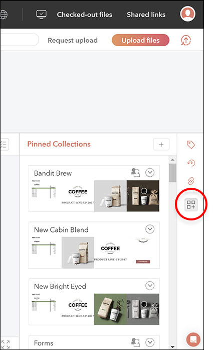 The icon for accessing the Pinned Collections panel