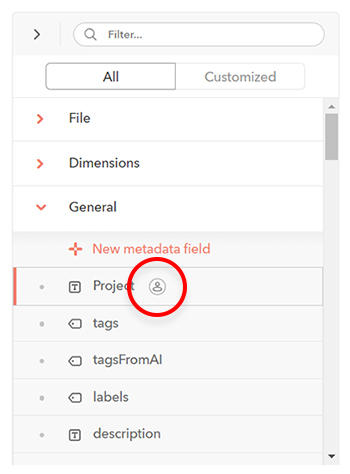 Custom metadata fields can be recognized by their user icon