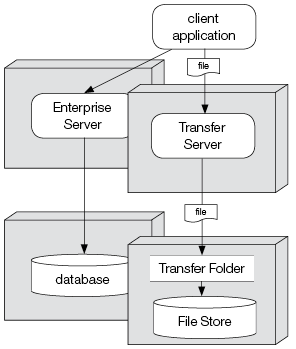 Enterprise Server setup with a separate File Transfer folder
