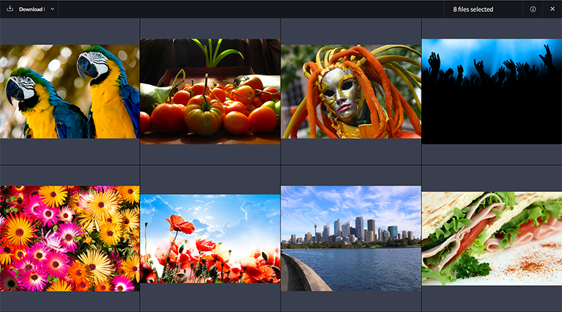 Viewing 8 images in fullscreen mode