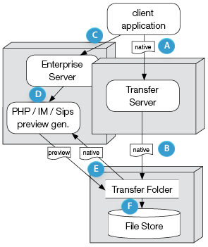 Enterprise Server image preview generation