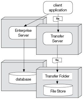 Enterprise Server deployment – Home