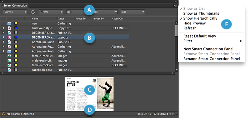 Incopy Indesign