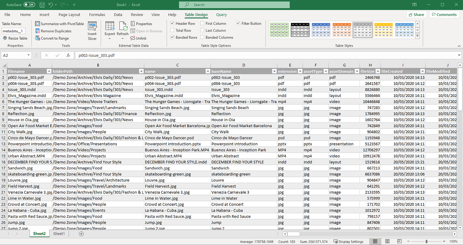 A metadata report imported into Excel